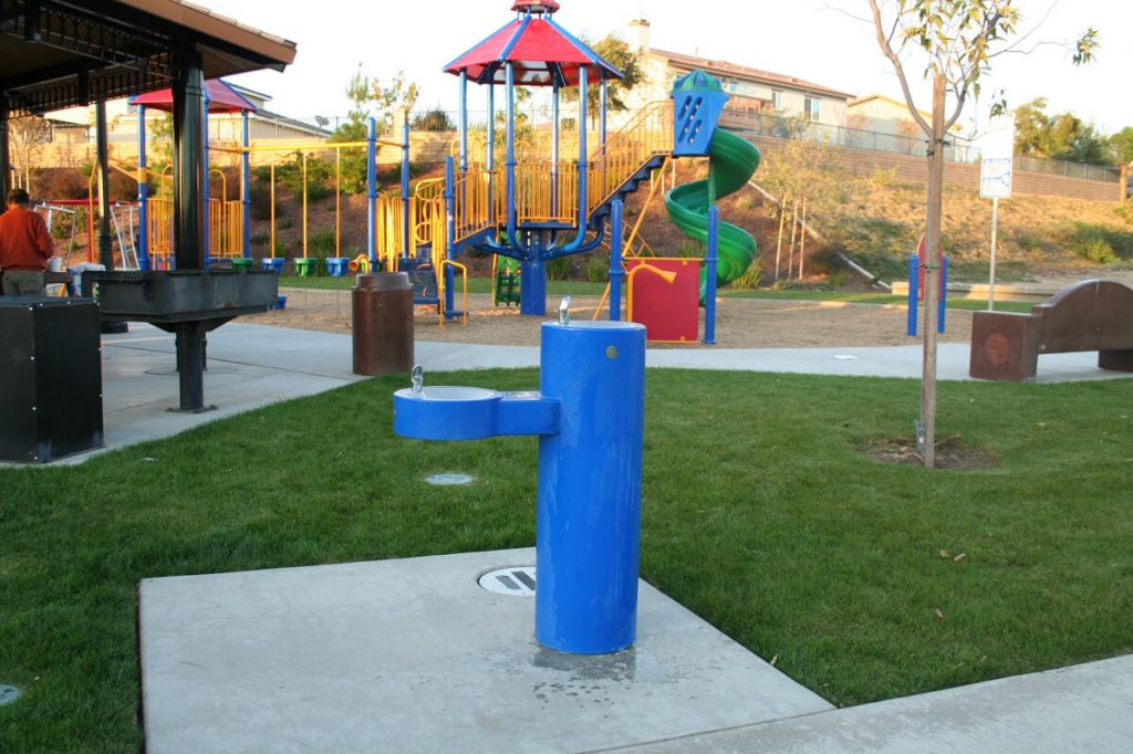 IMG_6996.jpg?mtime=20260120144550#asset:12514