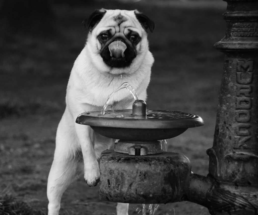 murdock-7455.jpg?mtime=20260120145123#asset:12516