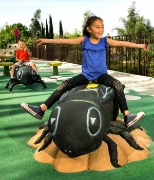 Play Trails Products